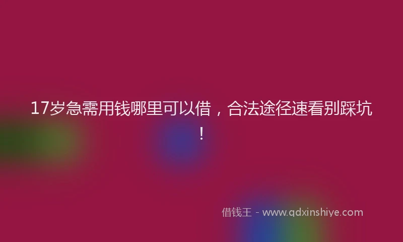 17岁急需用钱哪里可以借，合法途径速看别踩坑！