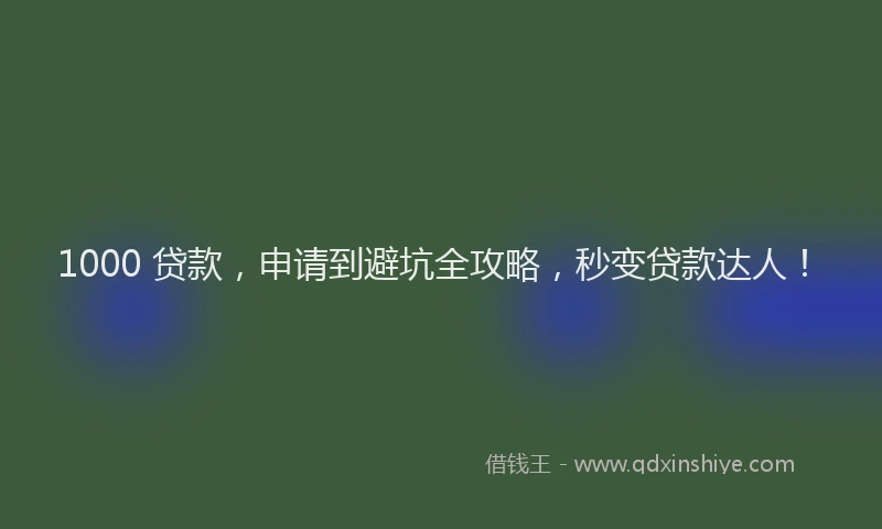 1000 贷款，申请到避坑全攻略，秒变贷款达人！