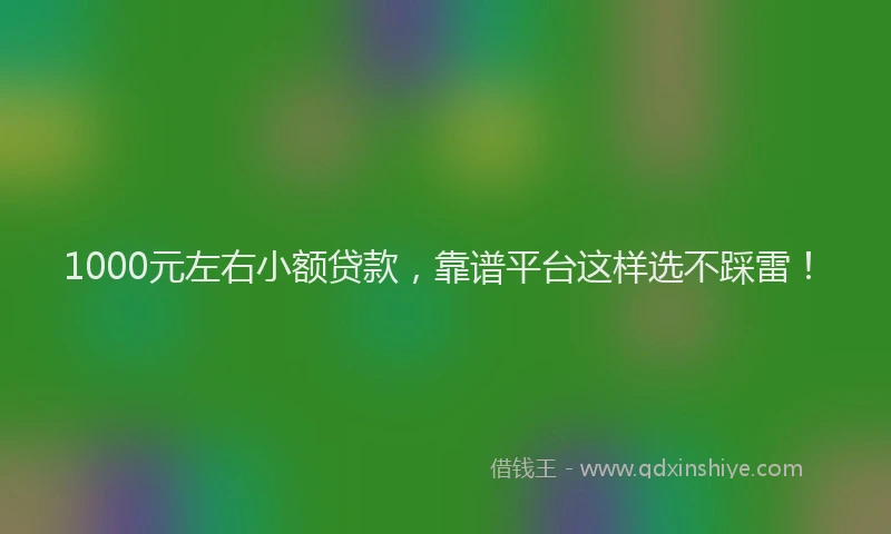 1000元左右小额贷款，靠谱平台这样选不踩雷！
