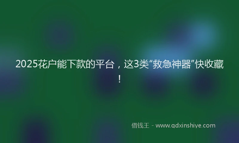 2025花户能下款的平台，这3类“救急神器”快收藏！