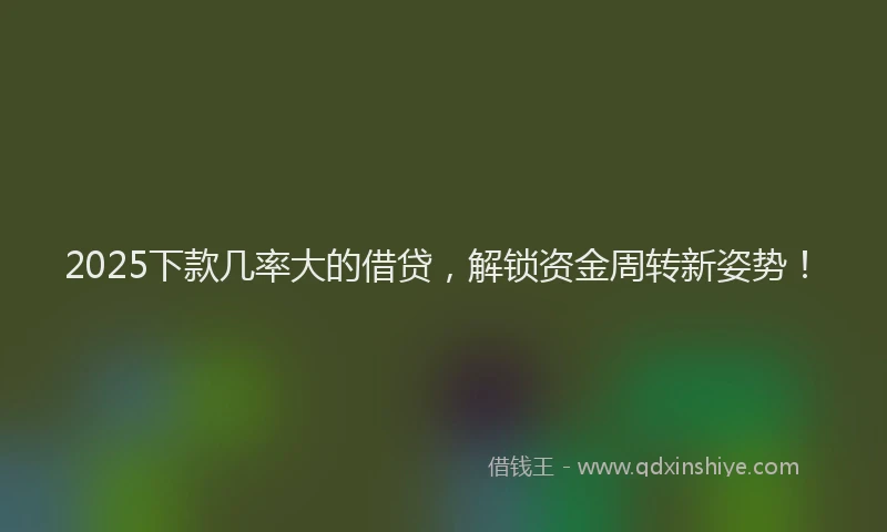 2025下款几率大的借贷，解锁资金周转新姿势！