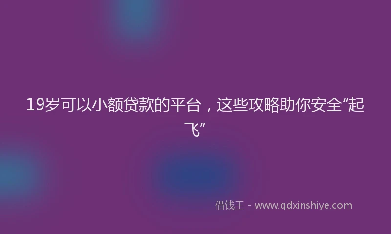 19岁可以小额贷款的平台，这些攻略助你安全“起飞”