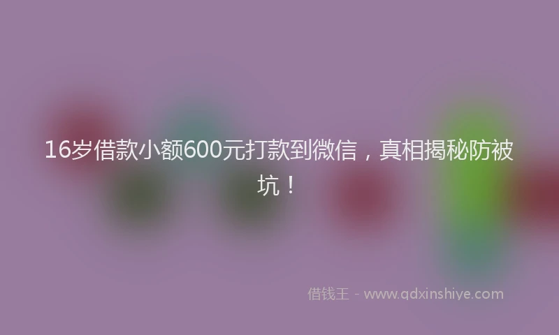 16岁借款小额600元打款到微信，真相揭秘防被坑！