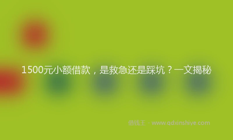 1500元小额借款，是救急还是踩坑？一文揭秘