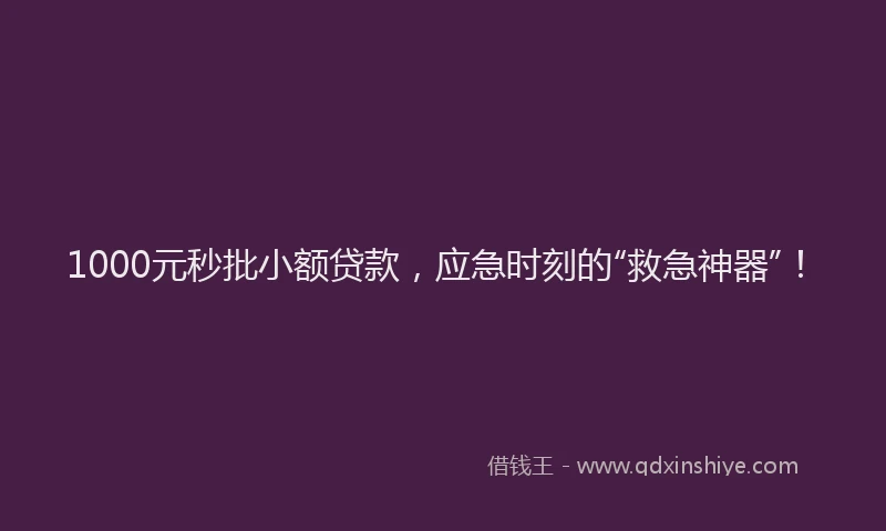 1000元秒批小额贷款，应急时刻的“救急神器”！