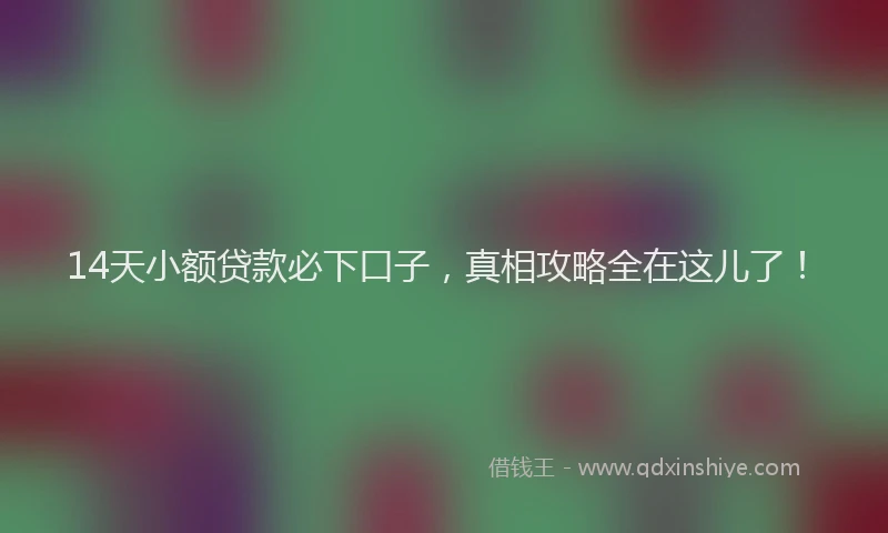 14天小额贷款必下口子，真相攻略全在这儿了！