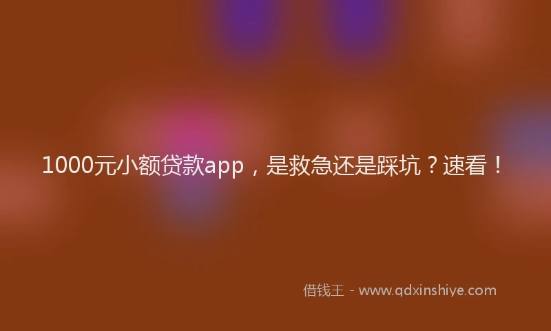 1000元小额贷款app，是救急还是踩坑？速看！