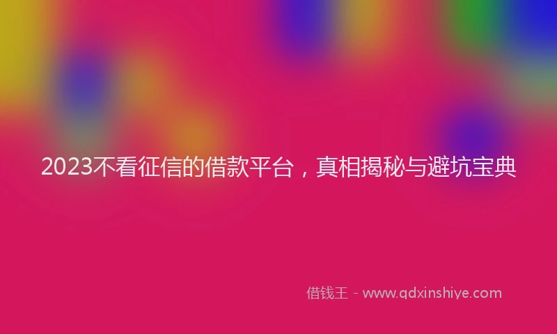 2023不看征信的借款平台，真相揭秘与避坑宝典