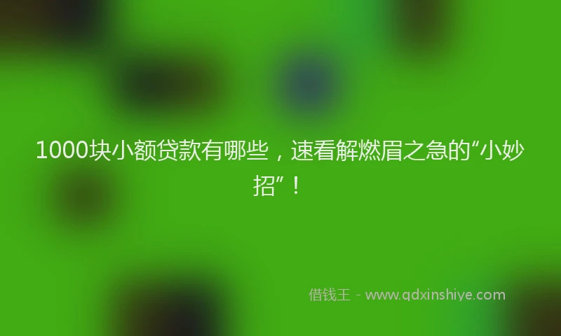 1000块小额贷款有哪些，速看解燃眉之急的“小妙招”！