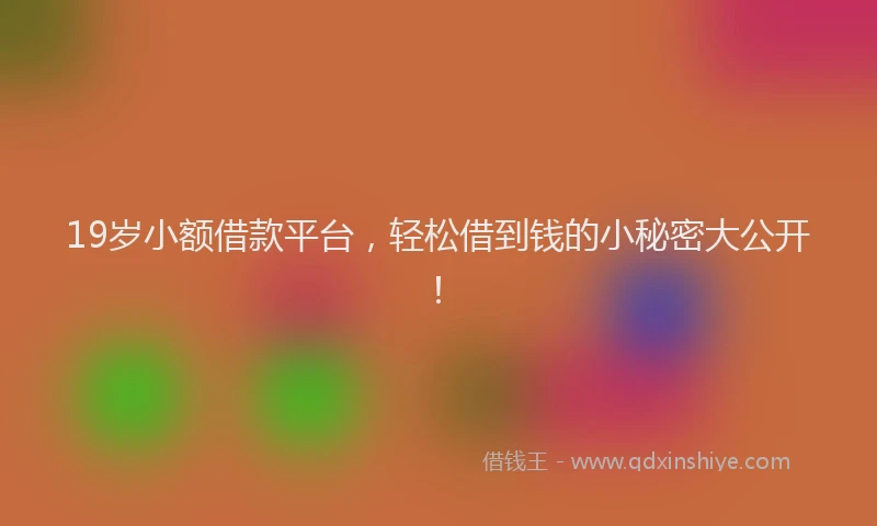 19岁小额借款平台，轻松借到钱的小秘密大公开！