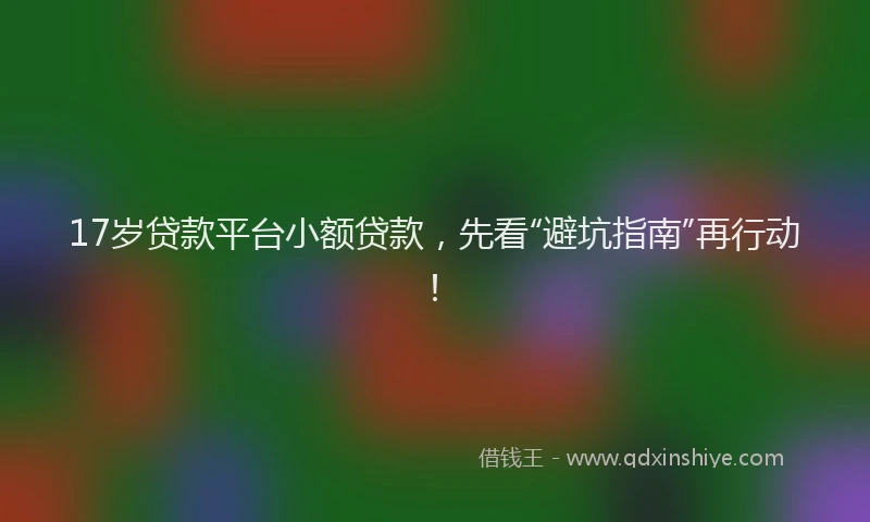 17岁贷款平台小额贷款，先看“避坑指南”再行动！