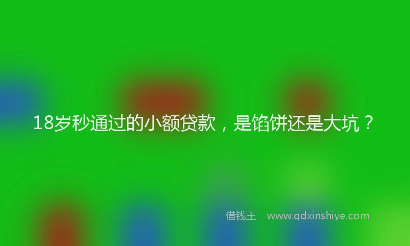 18岁秒通过的小额贷款，是馅饼还是大坑？