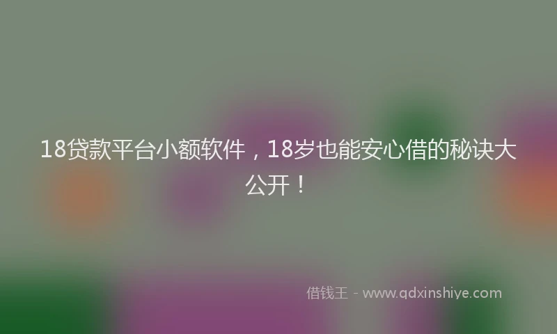 18贷款平台小额软件，18岁也能安心借的秘诀大公开！