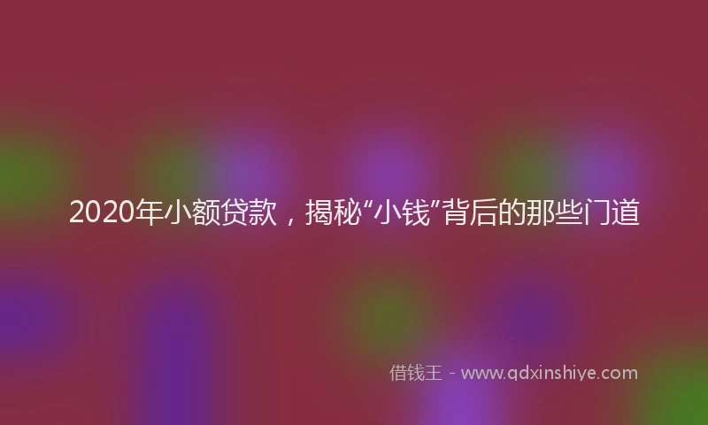 2020年小额贷款，揭秘“小钱”背后的那些门道