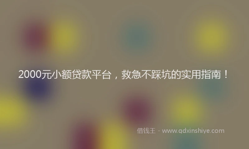 2000元小额贷款平台，救急不踩坑的实用指南！