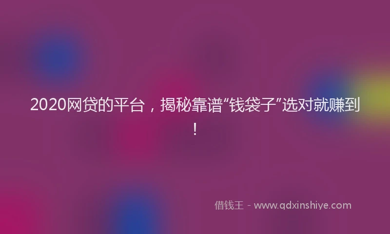 2020网贷的平台，揭秘靠谱“钱袋子”选对就赚到！