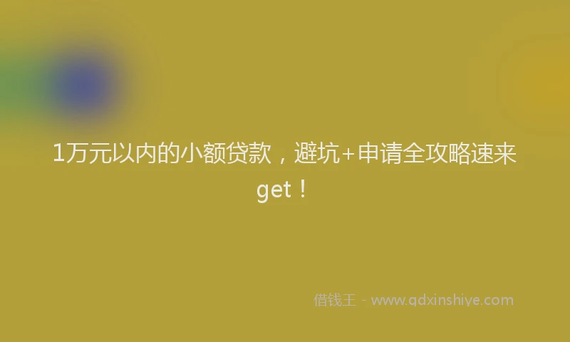 1万元以内的小额贷款，避坑+申请全攻略速来get！