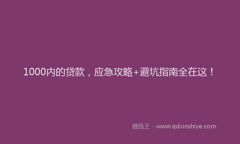 1000内的贷款，应急攻略+避坑指南全在这！