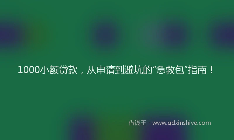 1000小额贷款，从申请到避坑的“急救包”指南！