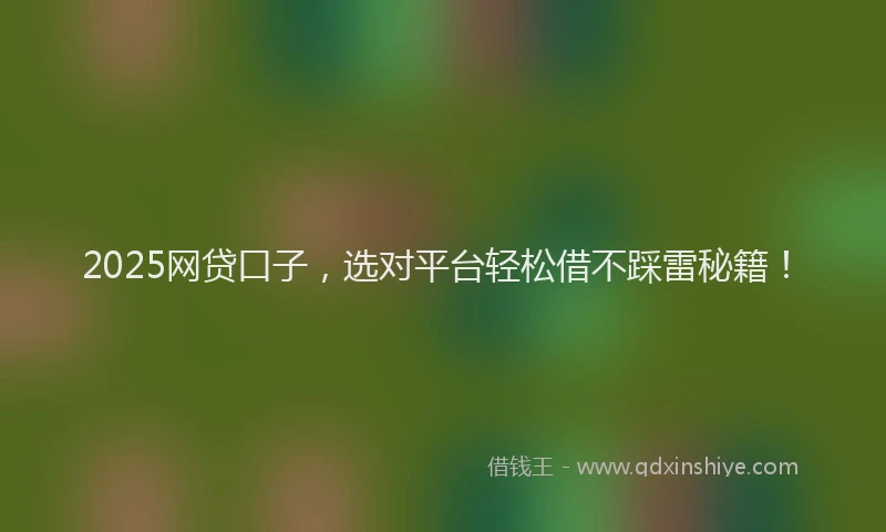 2025网贷口子，选对平台轻松借不踩雷秘籍！