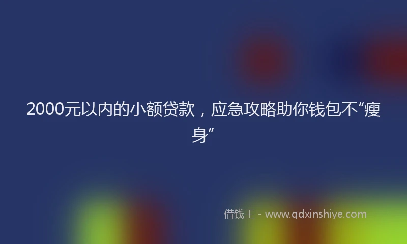 2000元以内的小额贷款，应急攻略助你钱包不“瘦身”