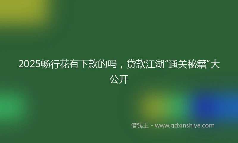 2025畅行花有下款的吗，贷款江湖“通关秘籍”大公开