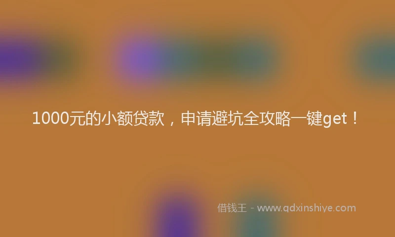 1000元的小额贷款，申请避坑全攻略一键get！
