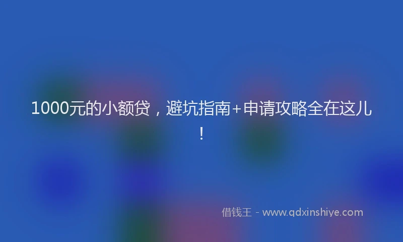 1000元的小额贷，避坑指南+申请攻略全在这儿！