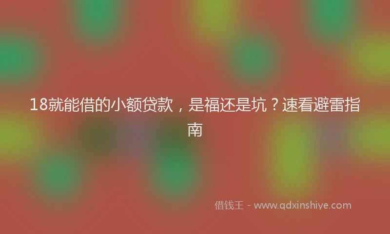 18就能借的小额贷款，是福还是坑？速看避雷指南