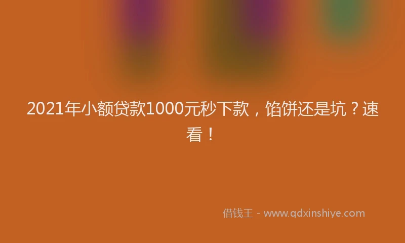 2021年小额贷款1000元秒下款，馅饼还是坑？速看！