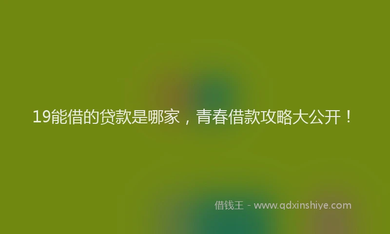 19能借的贷款是哪家，青春借款攻略大公开！
