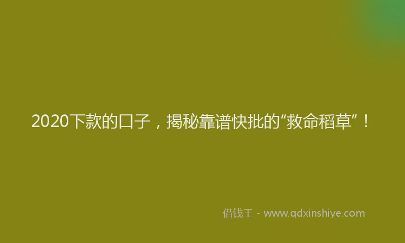2020下款的口子，揭秘靠谱快批的“救命稻草”！
