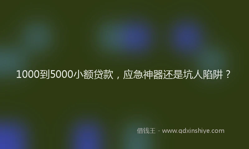 1000到5000小额贷款，应急神器还是坑人陷阱？
