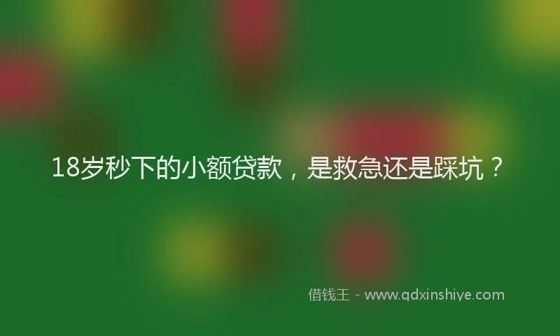 18岁秒下的小额贷款，是救急还是踩坑？