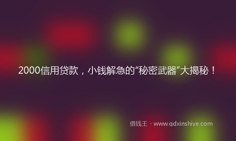 2000信用贷款，小钱解急的“秘密武器”大揭秘！