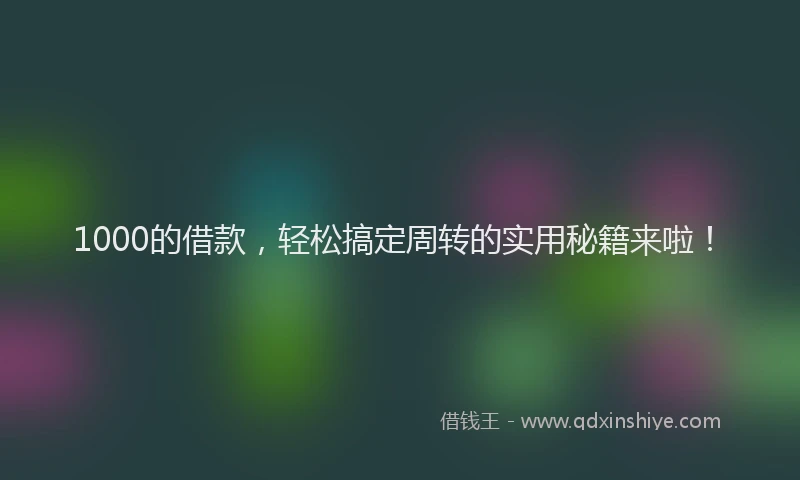 1000的借款，轻松搞定周转的实用秘籍来啦！