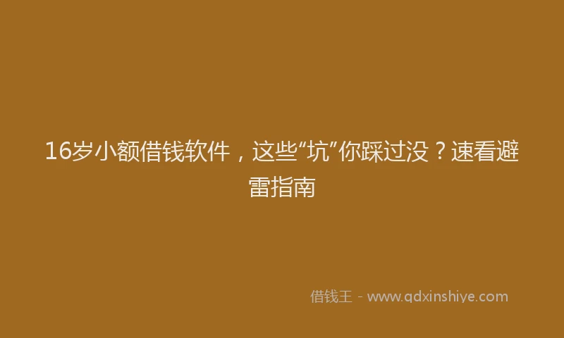 16岁小额借钱软件，这些“坑”你踩过没？速看避雷指南