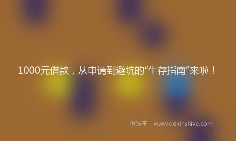1000元借款，从申请到避坑的“生存指南”来啦！