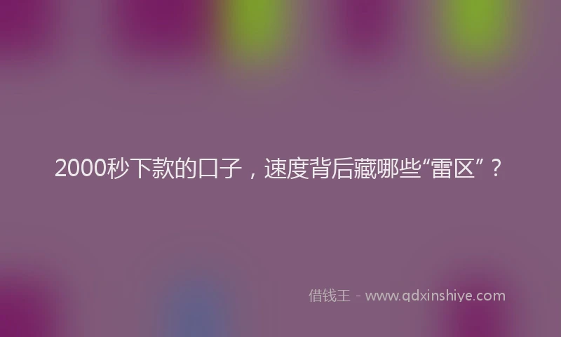 2000秒下款的口子，速度背后藏哪些“雷区”？