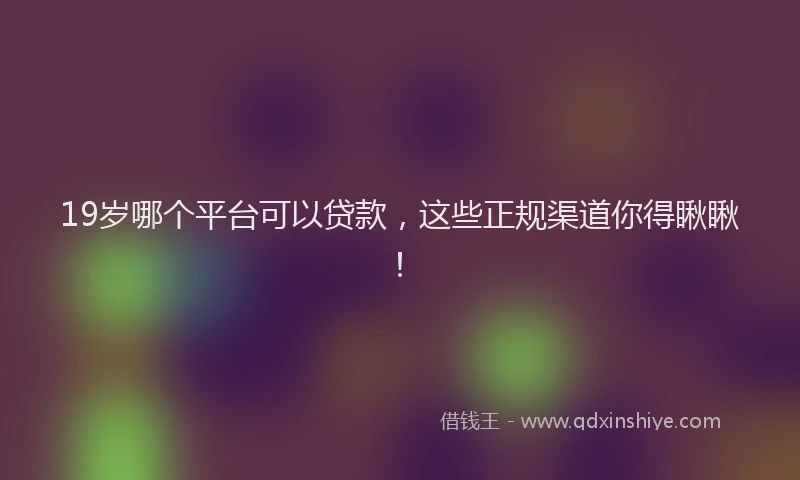 19岁哪个平台可以贷款，这些正规渠道你得瞅瞅！