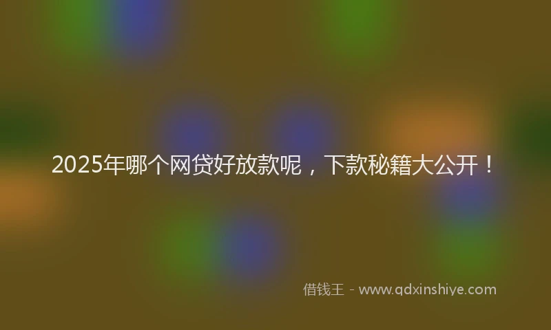 2025年哪个网贷好放款呢，下款秘籍大公开！