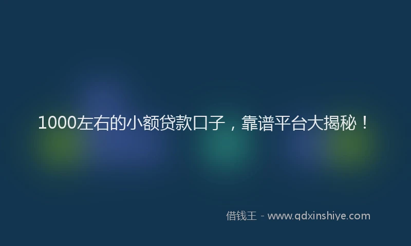 1000左右的小额贷款口子，靠谱平台大揭秘！