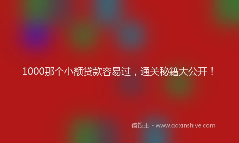 1000那个小额贷款容易过，通关秘籍大公开！