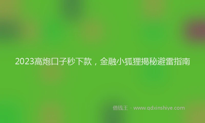 2023高炮口子秒下款，金融小狐狸揭秘避雷指南
