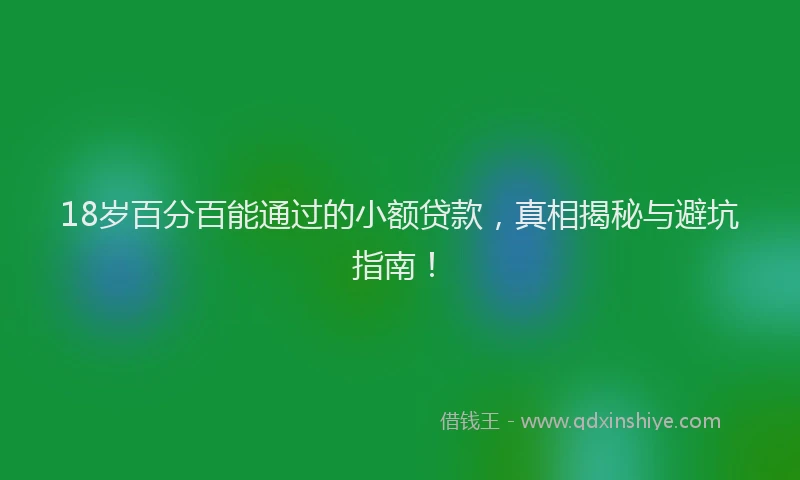 18岁百分百能通过的小额贷款，真相揭秘与避坑指南！