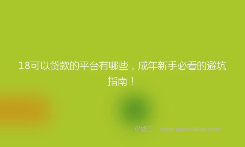 18可以贷款的平台有哪些，成年新手必看的避坑指南！