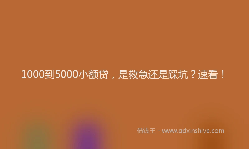 1000到5000小额贷，是救急还是踩坑？速看！