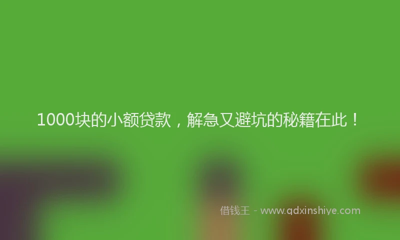 1000块的小额贷款，解急又避坑的秘籍在此！