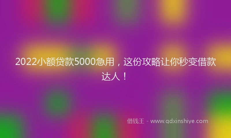 2022小额贷款5000急用，这份攻略让你秒变借款达人！