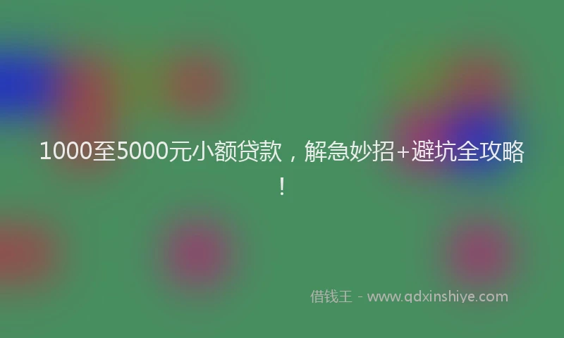 1000至5000元小额贷款，解急妙招+避坑全攻略！